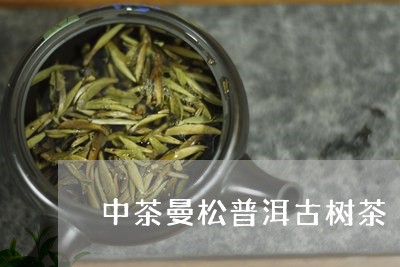 中茶曼松普洱古树茶/2023031846057