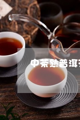 中茶熟普洱茶推荐/2023031621905