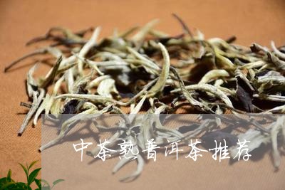 中茶熟普洱茶推荐/2023041258271