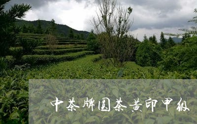 中茶牌圆茶黄印甲级/2023032140504