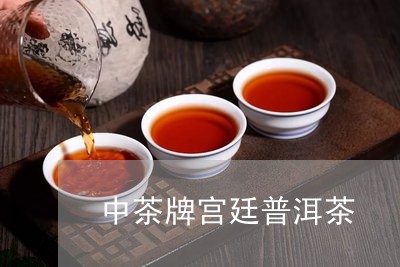 中茶牌宫廷普洱茶/2023041192738