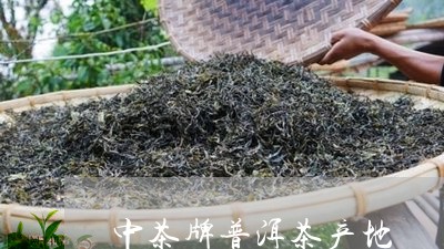 中茶牌普洱茶产地/2023031679435