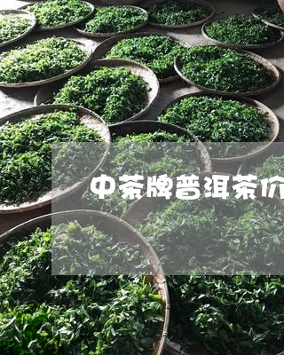 中茶牌普洱茶价格/2023031774616