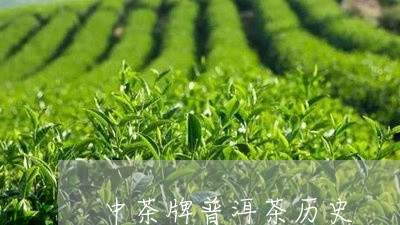 中茶牌普洱茶历史/2023031559392