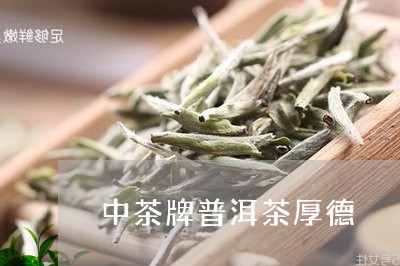 中茶牌普洱茶厚德/2023041144159