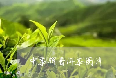 中茶牌普洱茶图片/2023031529594