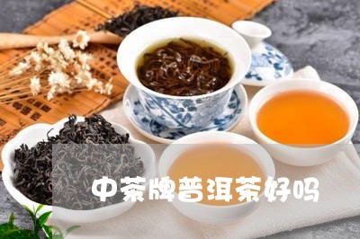 中茶牌普洱茶好吗/2023041115159