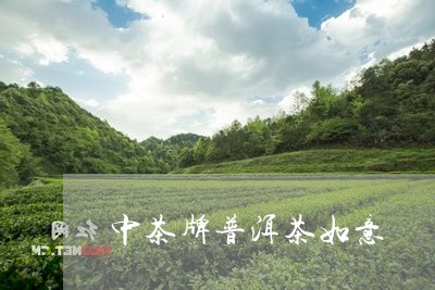 中茶牌普洱茶如意/2023041115579