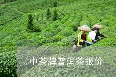 中茶牌普洱茶报价/2023031681592