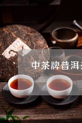 中茶牌普洱茶排名/2023041185948