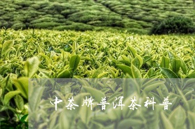 中茶牌普洱茶科普/2023041357363