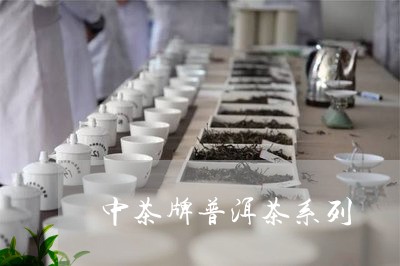 中茶牌普洱茶系列/2023031617270