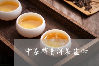 中茶牌普洱茶蓝印/2023031616260