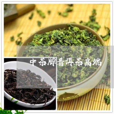 中茶牌普洱茶高端/2023041191713