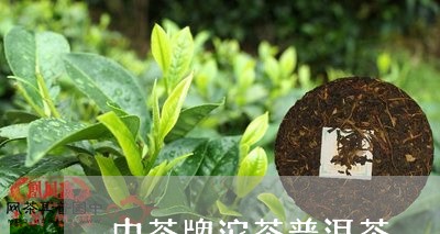 中茶牌沱茶普洱茶/2023041213048