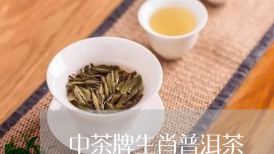 中茶牌生肖普洱茶/2023041126050