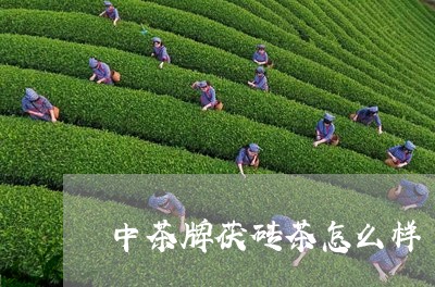 中茶牌茯砖茶怎么样/2023032068270