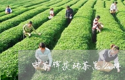 中茶牌茯砖茶怎么样/2023041648493