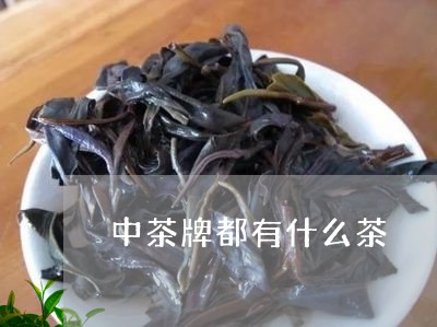 中茶牌都有什么茶/2023032491713