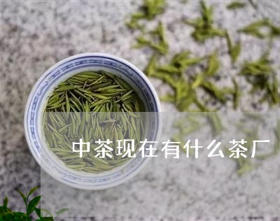 中茶现在有什么茶厂/2023041711724