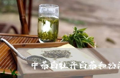 中茶白牡丹白茶和松涛明月/2023040130681