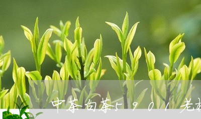 中茶白茶5901老树白茶/2023033048359