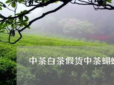 中茶白茶假货中茶蝴蝶白茶/2023040199915