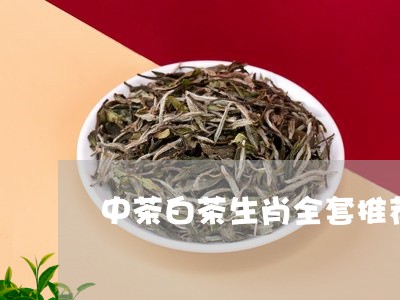 中茶白茶生肖全套推荐图片/2023040171602