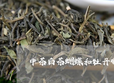 中茶白茶蝴蝶和牡丹哪个好/2023040183727