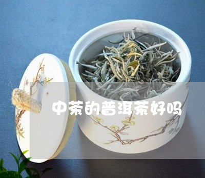 中茶的普洱茶好吗/2023031674068