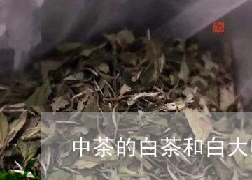 中茶的白茶和白大师哪个好/2023040175825