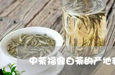 中茶福鼎白茶的产地和特点/2023033144915