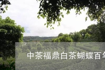 中茶福鼎白茶蝴蝶百年丝路/2023033106148