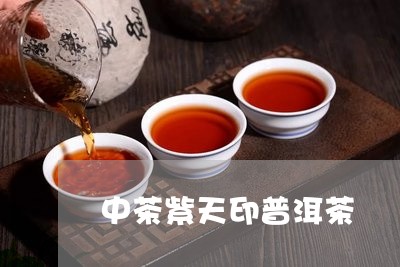 中茶紫天印普洱茶/2023041435260