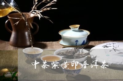 中茶紫黄印普洱茶/2023041321691