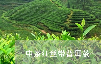 中茶红丝带普洱茶/2023031640513