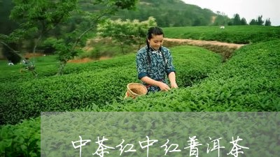 中茶红中红普洱茶/2023031864947