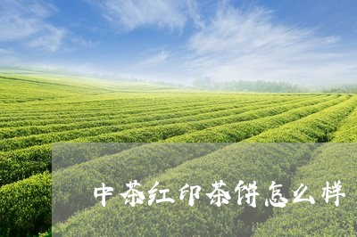 中茶红印茶饼怎么样/2023041686189