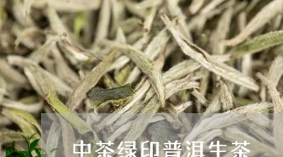 中茶绿印普洱生茶/2023032905047