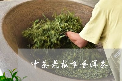 中茶老板章普洱茶/2023031647059