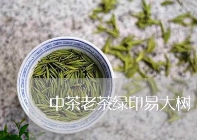 中茶老茶绿印易大树/2023041737182