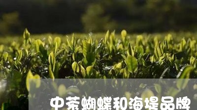 中茶蝴蝶和海堤品牌/2023041603150