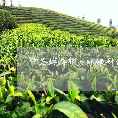 中茶蝴蝶牌太姥银针白茶饼/2023033164039