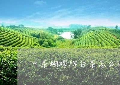 中茶蝴蝶牌白茶怎么选好坏/2023033125248