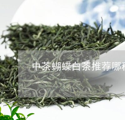 中茶蝴蝶白茶推荐哪种香型/2023033155940