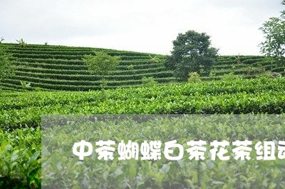 中茶蝴蝶白茶花茶组动车号/2023033107061