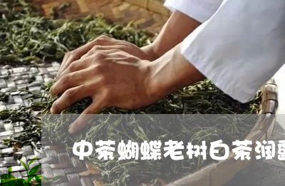 中茶蝴蝶老树白茶润露系列/2023033174806