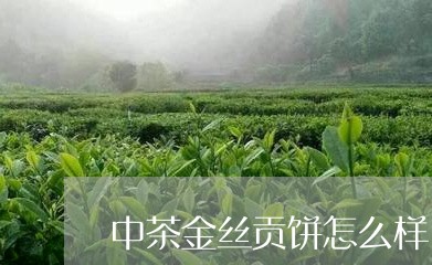 中茶金丝贡饼怎么样/2023032159481