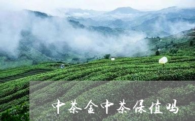 中茶金中茶保值吗/2023032576171