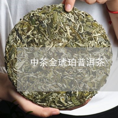 中茶金琥珀普洱茶/2023031688385